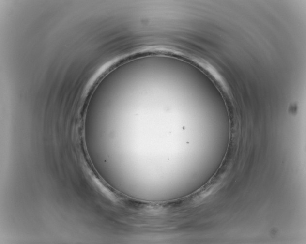 X0000091860799200709050956