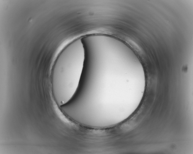 X0000091860800200709050956