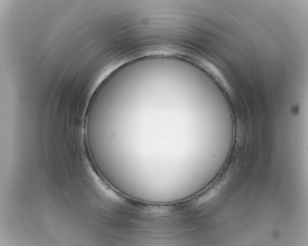 X0000091860802200709050956