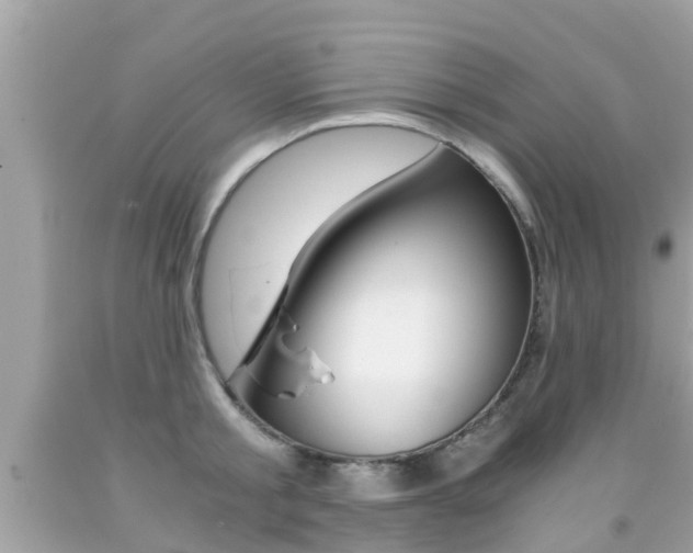 X0000091860805200709050956