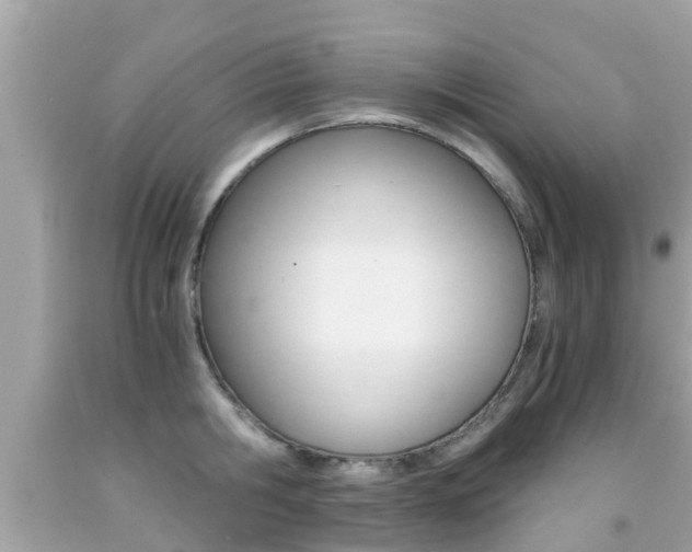 X0000091860806200709050956