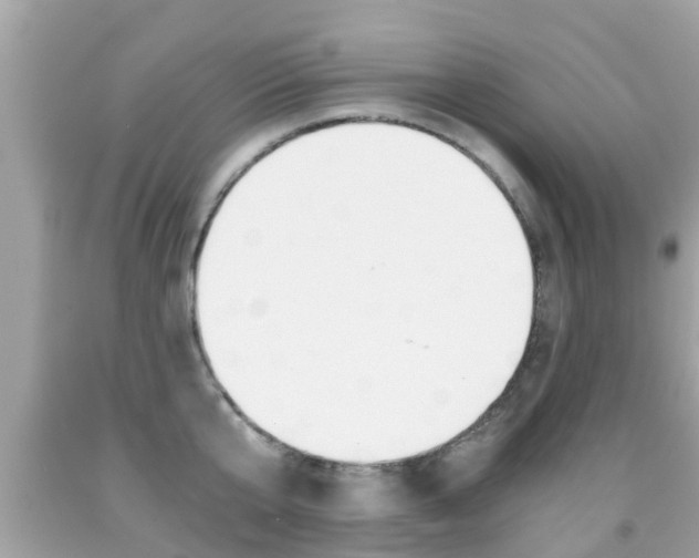 X0000091860807200709050956