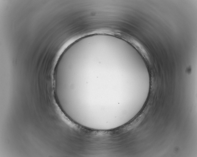 X0000091860808200709050955