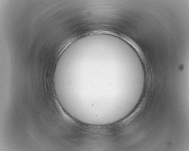 X0000091860809200709050955