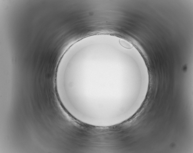 X0000091860810200709050955