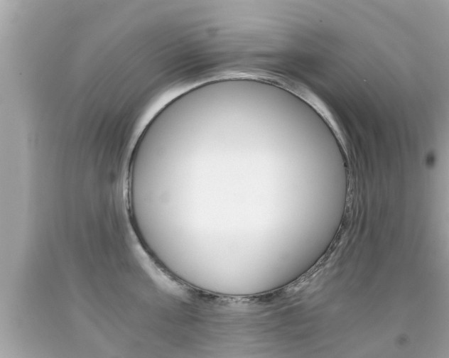 X0000091860811200709050955