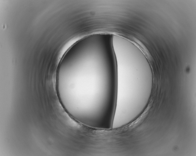 X0000091860812200709050955