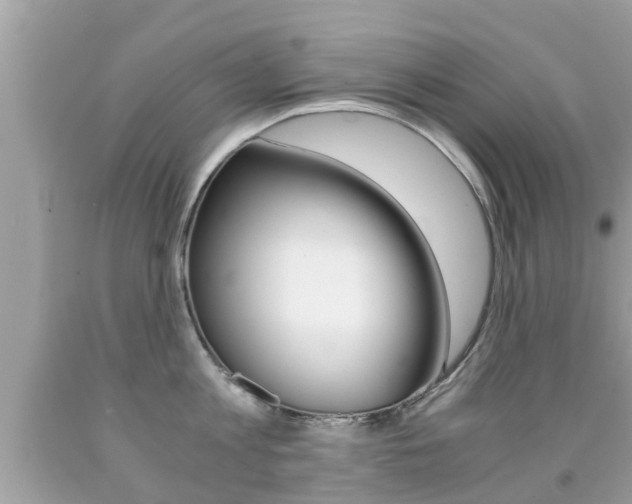 X0000091860813200709050955