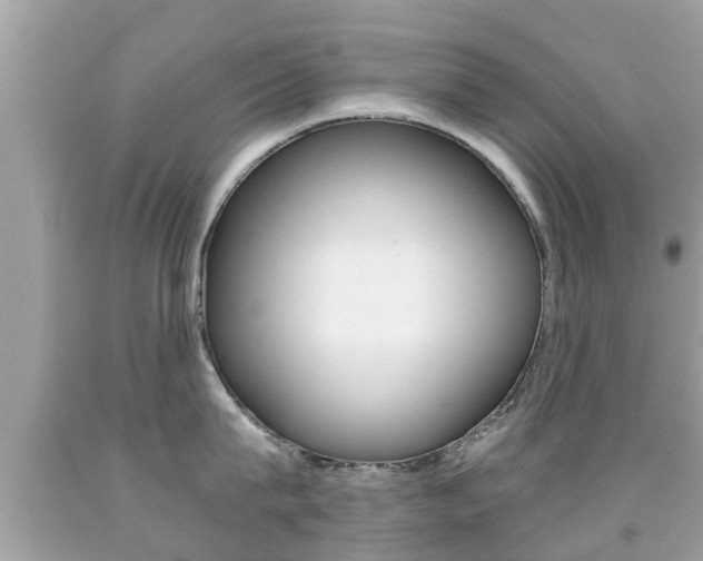 X0000091860815200709050955