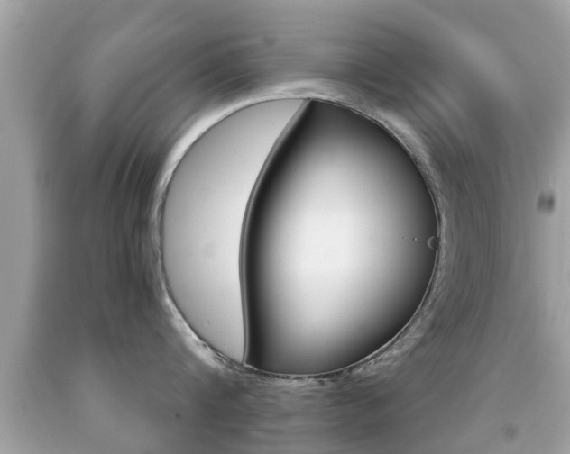 X0000091860816200709050955
