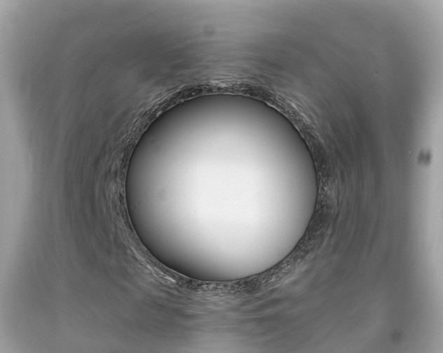 X0000091860817200709050955
