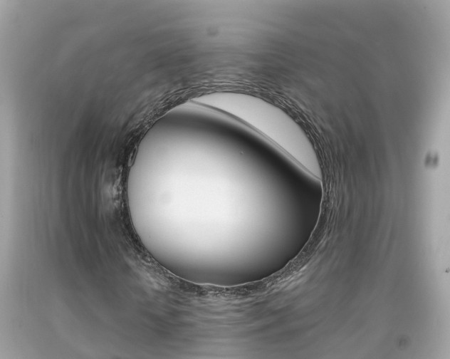 X0000091860818200709050955