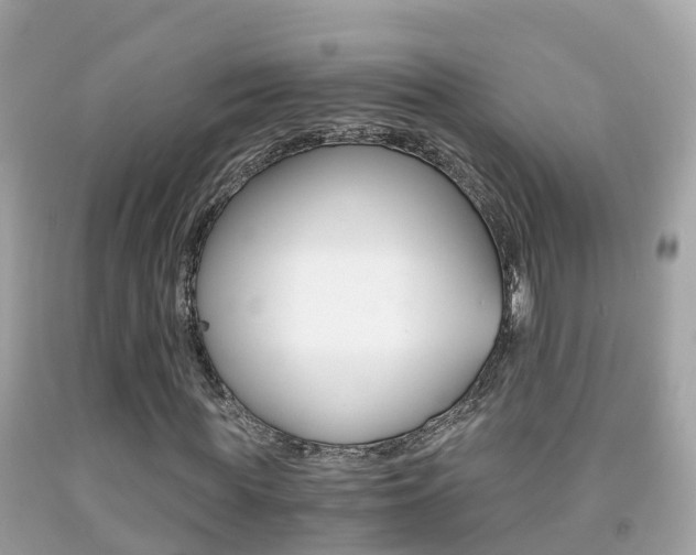 X0000091860819200709050955