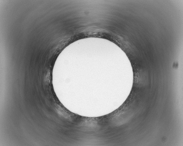 X0000091860820200709050955