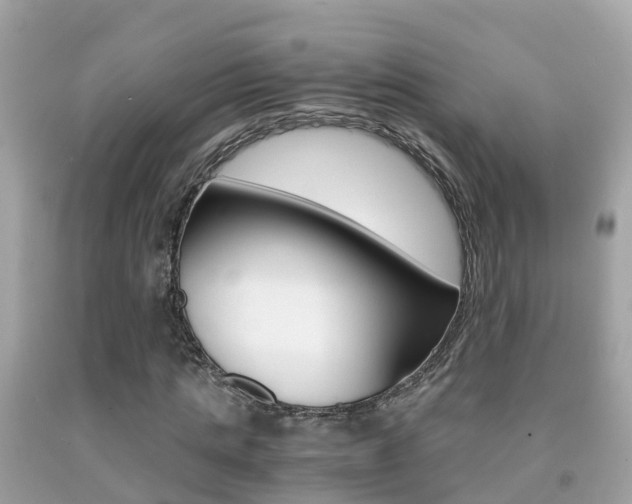 X0000091860821200709050955
