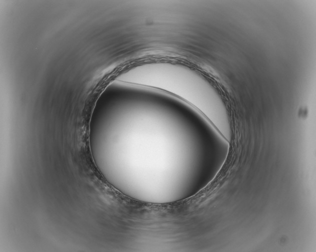 X0000091860822200709050955
