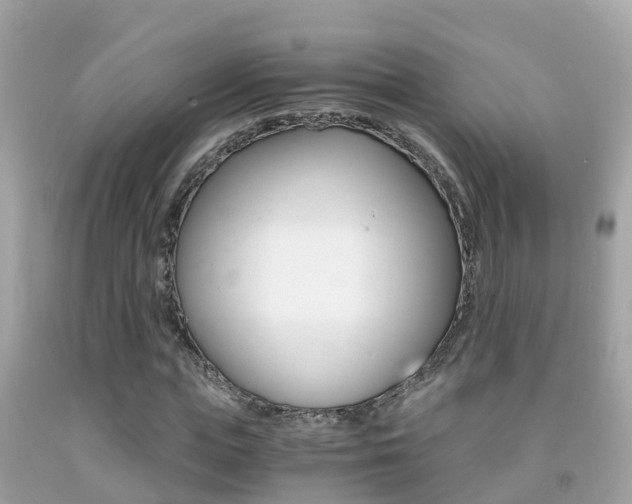 X0000091860823200709050955