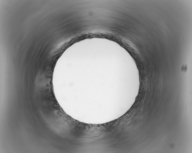 X0000091860824200709050955