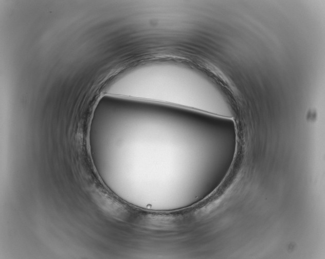 X0000091860825200709050955