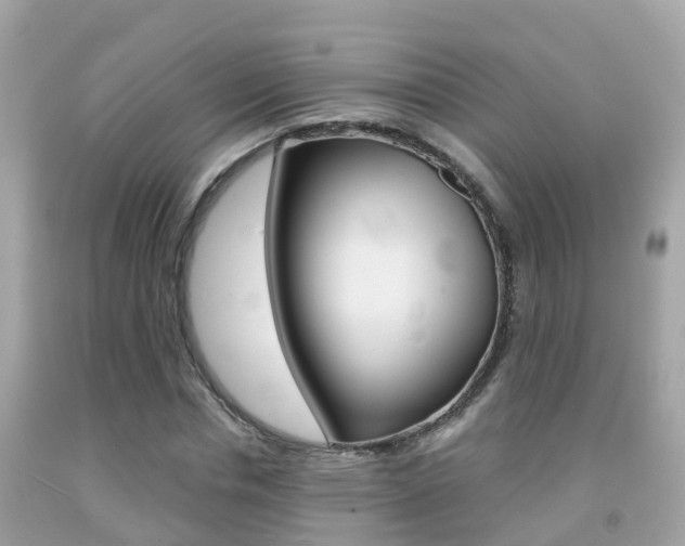 X0000091860826200709050955