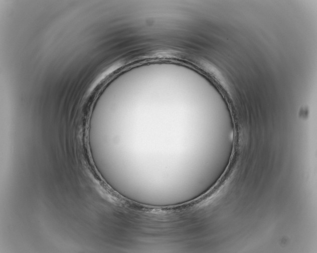 X0000091860827200709050955