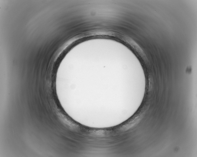 X0000091860828200709050955