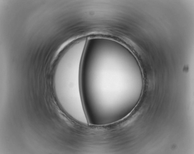 X0000091860830200709050955