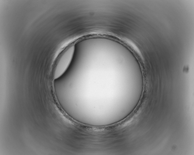 X0000091860831200709050955