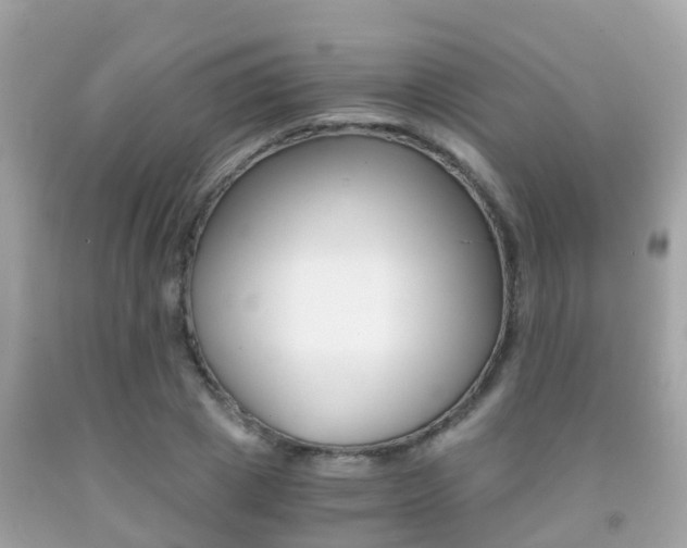 X0000091860833200709050955