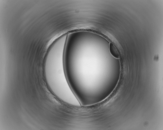 X0000091860834200709050955