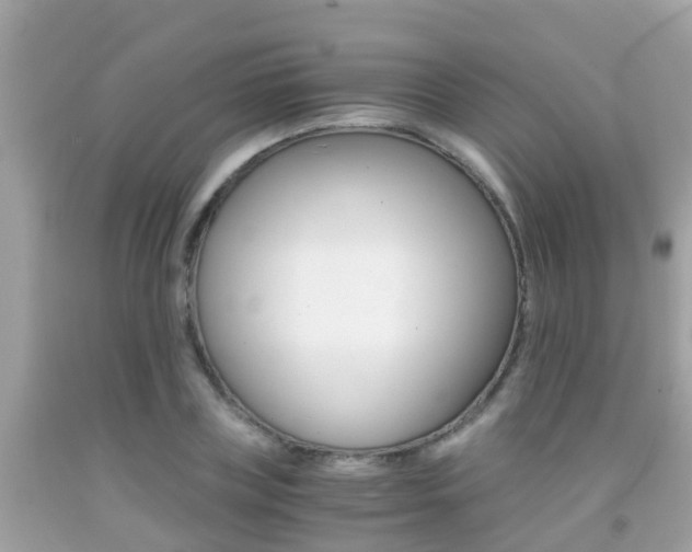 X0000091860835200709050955