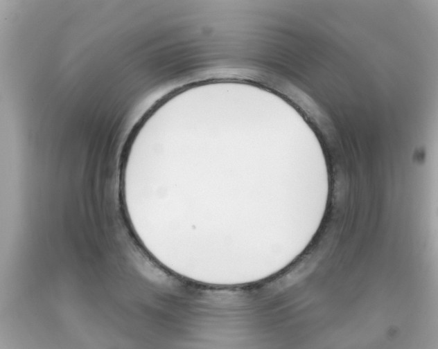 X0000091860836200709050955