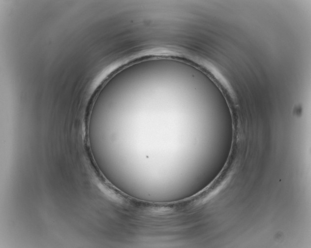 X0000091860837200709050955