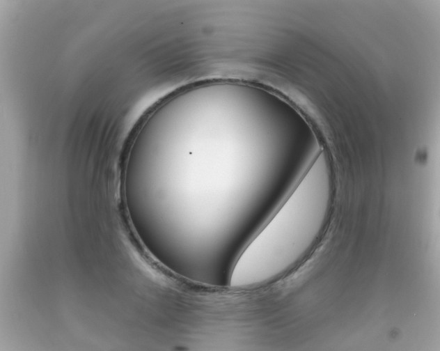 X0000091860838200709050955