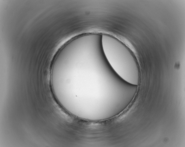 X0000091860839200709050955