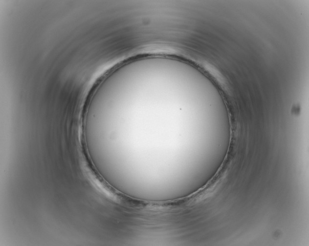 X0000091860840200709050955