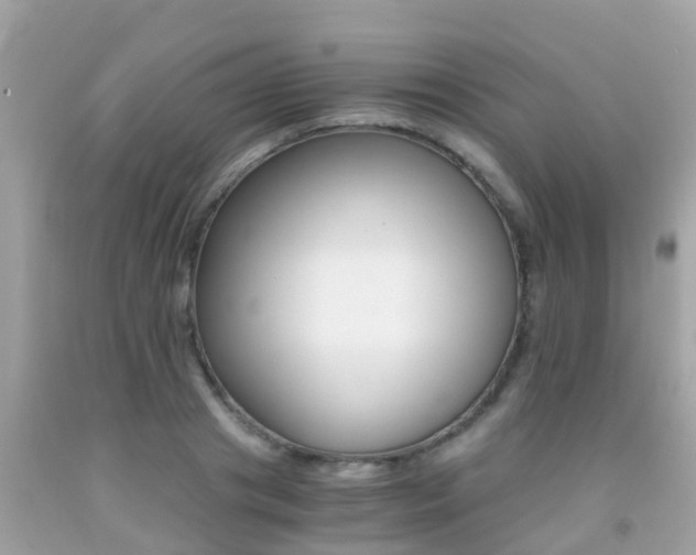 X0000091860841200709050955