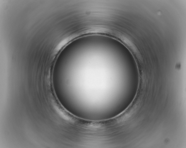 X0000091860842200709050955