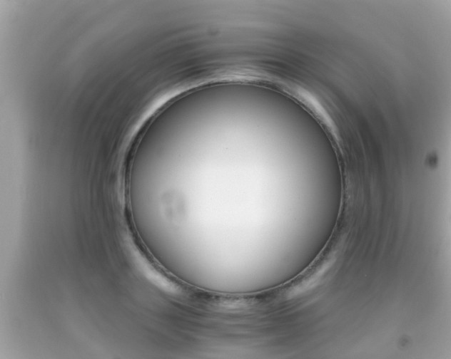 X0000091860843200709050955