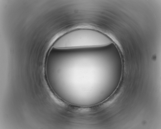 X0000091860845200709050955