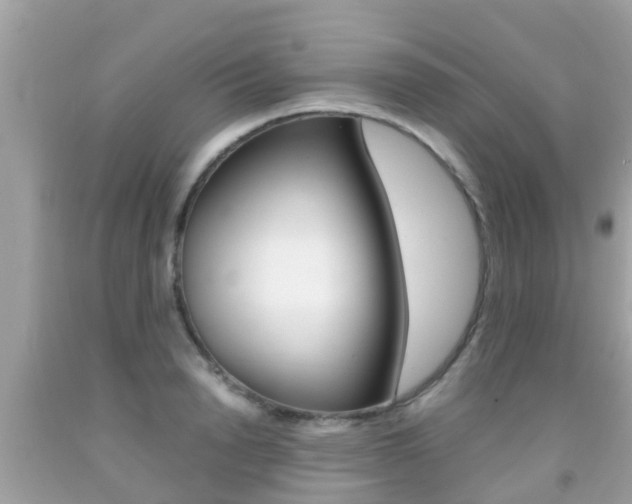 X0000091860846200709050955