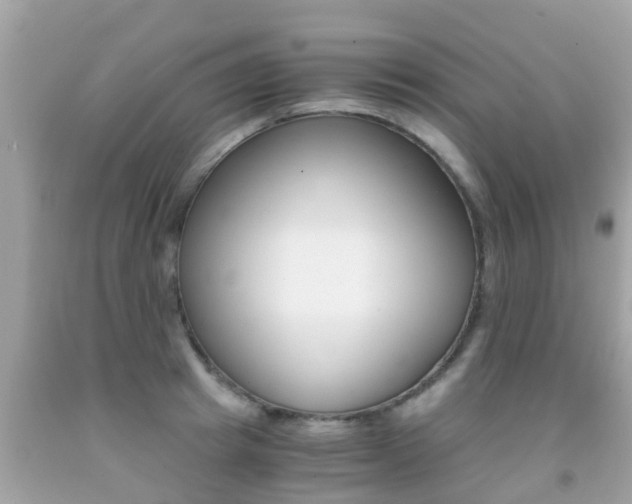 X0000091860849200709050955