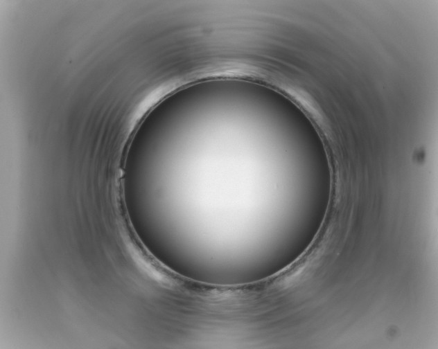 X0000091860850200709050955