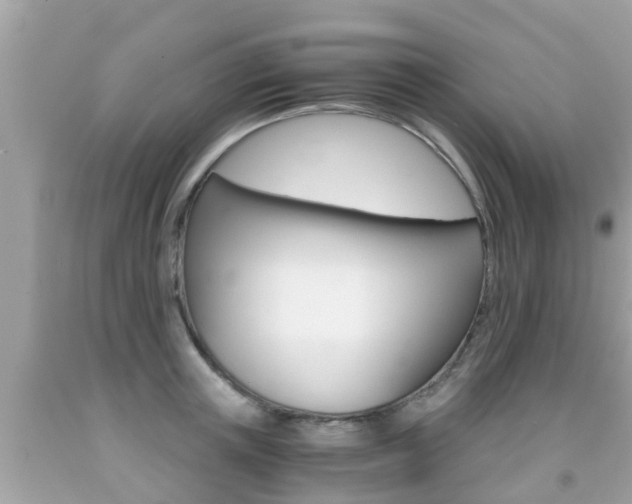 X0000091860851200709050955