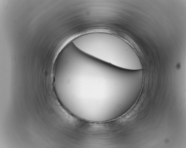 X0000091860852200709050955