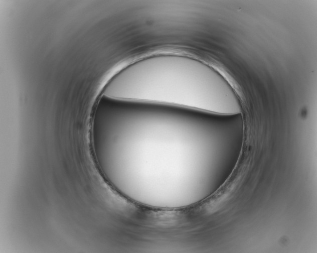 X0000091860853200709050955