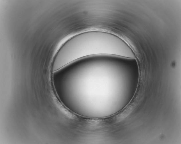 X0000091860854200709050955