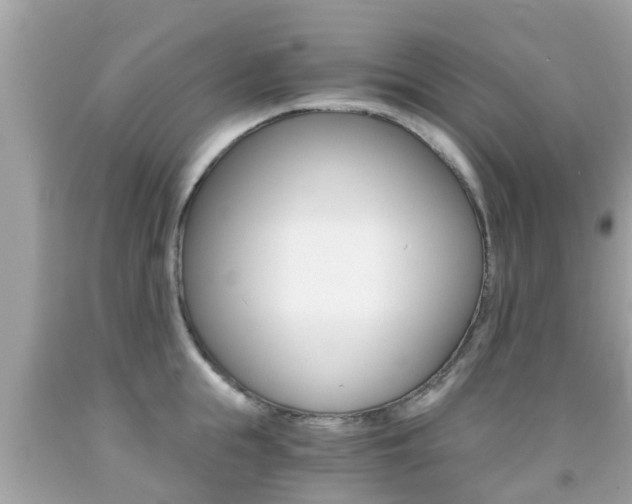 X0000091860855200709050955
