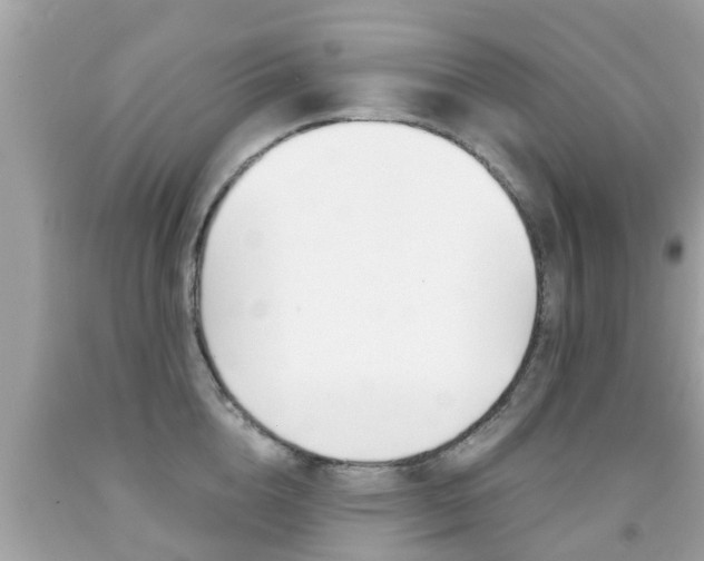 X0000091860856200709050955