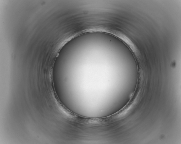 X0000091860857200709050955